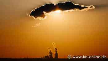 Erde für immer verändert: Warum bald das Zeitalter des Menschen ausgerufen werden könnte