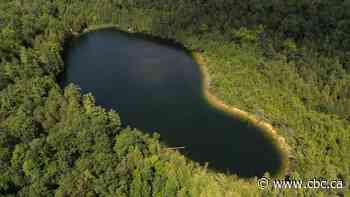 Canadian lake chosen to mark start of proposed Anthropocene epoch