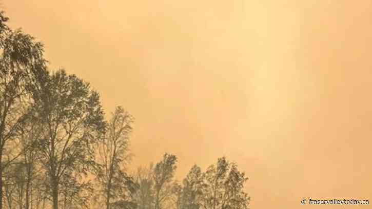 Cabins destroyed by wildfire near Tulita, N.W.T.