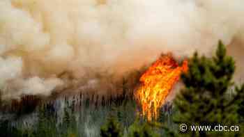 Ottawa tops up fund for humanitarian groups as climate disasters take their toll