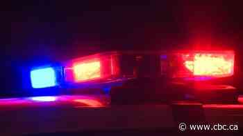 19-year-old woman dies after southern Manitoba rollover, RCMP say