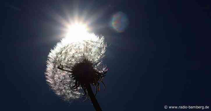 Temperaturen klettern bis auf 37,2 Grad in Bayern