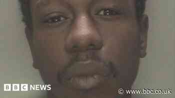 Birmingham stabbings: Killer Zephaniah McLeod was released from prison unsupervised