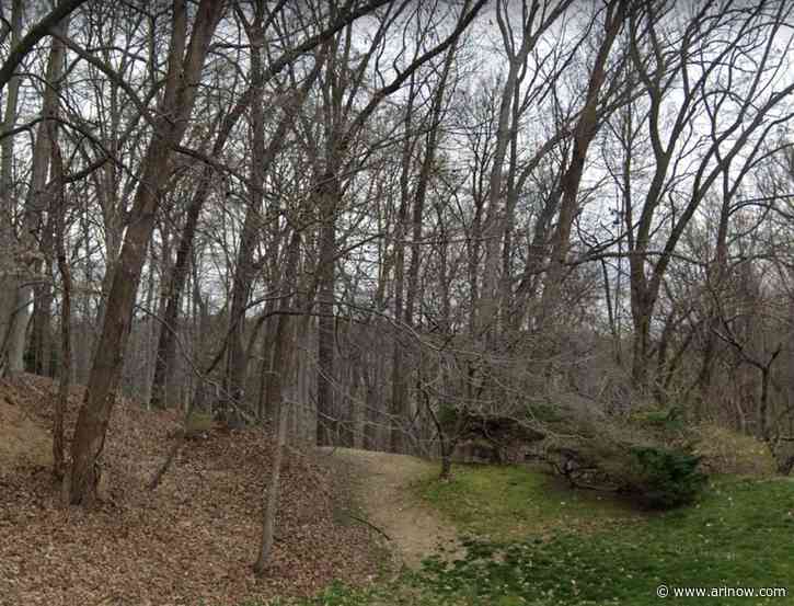 Arlington could buy a property within what was once a secluded Black settlement for 100 years