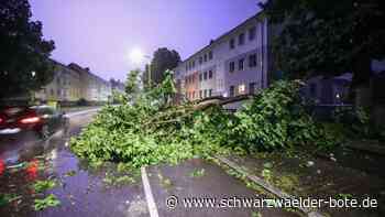 Schweres Unwetter: Umgestürzte Bäume und Hagel bei Sulz - Feuerwehr meldet über 20 Einsätze
