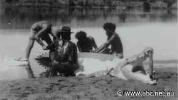 Should crocodiles be culled again in the NT? Here's what happened last time