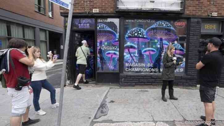 CP NewsAlert: Montreal police raid illegal magic mushroom store