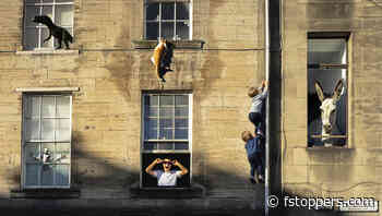 The Pursuit of Truth: Will AI Prompt a Return to Film Photography?