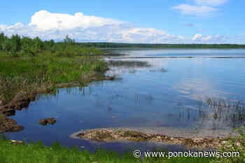 Gull Lake Watershed Society hopes increasing membership will push government to address dropping water levels