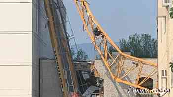 Harrowing details of Kelowna crane collapse revealed in new lawsuits