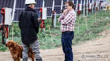 Net-zero electricity grid for Alberta by 2035 is possible, Wilkinson says