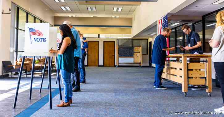 House GOP Introduces 'Hard to Cheat' National Voting Law the 'Left is Going to Attack'