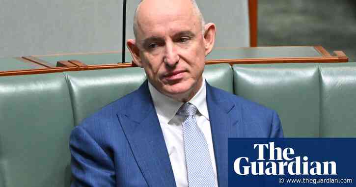 Labor targets Stuart Robert and his handling of robodebt in negative ads before Fadden byelection