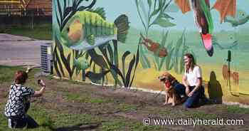 Teen muralist transforms East Dundee wall into an underwater spectacle