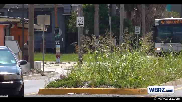'Your tax dollars at work': Overgrown Government St. medians finally trimmed after taunt from neighbor