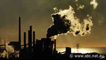 Call for Bluescope rapidly transition away from coal based-steelmaking at Port Kembla