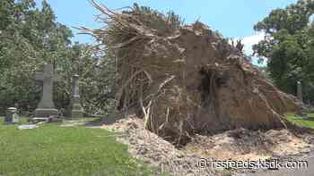'It was complete devastation': Bellefontaine and Calvary cemeteries remain closed as storm cleanup continues