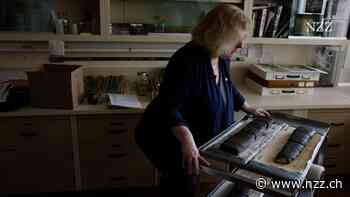 Anthropozän: Ein See in Kanada soll markieren, seit wann der Mensch die Erde dominiert