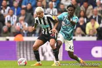 Niet alleen zijn onmiskenbare talent én progressiemarge, maar ook dit héél belangrijke feit maakt van Lavia gegeerd wild in de Premier League