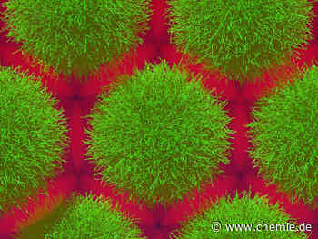 Rätsel der Mikrogele gelöst