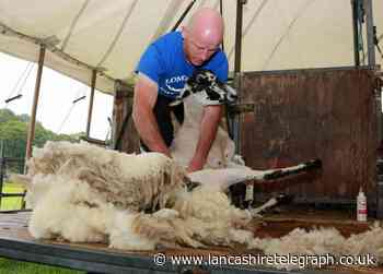 Royal Lancashire Show favourites are back to impress