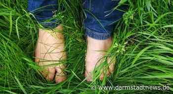 Grasmilbensaison in vollem Gang – Winzig kleine Ursache für unerträglichen Juckreiz