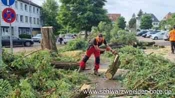Damit die Versicherung zahlt: Diese 5 Dinge sollten Sie bei Schäden durch Unwetter tun