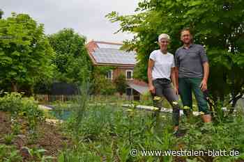 Grüner Garten trotz Hitzesommer: Tipps von „Terra Flora“ aus Niesen