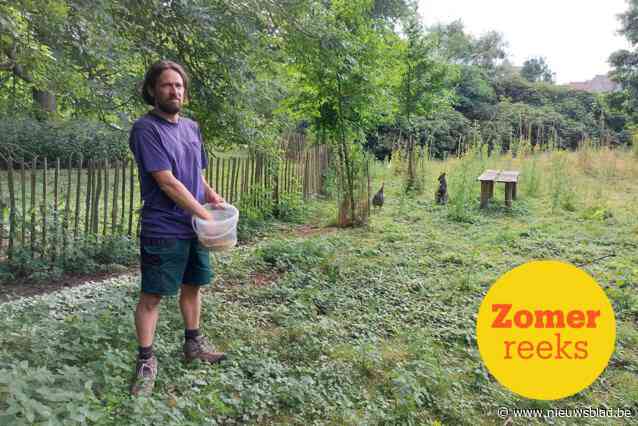 In de parktuin van de familie Haers huppelen al 40 jaar exotische dieren rond: “Andere mensen hebben een hond of kat, wij houden wallaby’s”