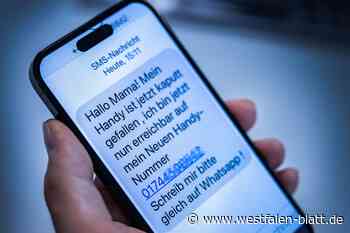 Polizei Lippe warnt vor Betrug per SMS und Messenger-Nachrichten
