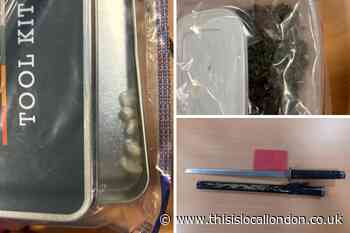 Police uncover drugs, weapons and seize dangerous dog in Plumstead