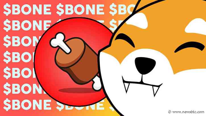 Shiba Inu Ecosystem Token BONE Surges 88%, Too Late To Buy?