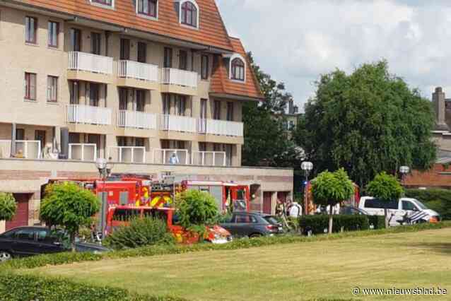 Brand- en rookgeur van oververhit kookpotje in Park Ter Leie