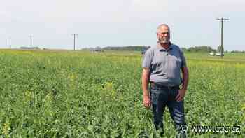 Demand for biofuels sparks Canadian boom. But will U.S. subsidies pull investment south?