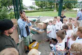 Skateboard-Workshops in den Sommerferien in Brakel