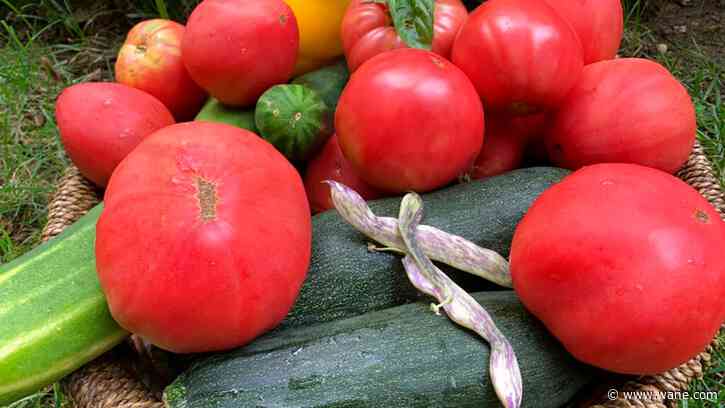 Wednesday's Ft. Wayne Farmers Market moves indoors