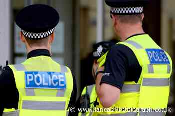 Teen arrested after video 'shows cat being thrown off cliff'