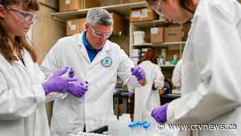 The science behind 'forever chemicals' and why they're bad for us