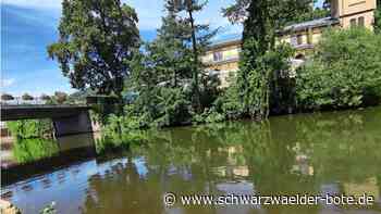 Die Sache mit der Haftung: Diese Probleme gibt es mit Bouldern und Baden in Calw