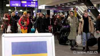 Flüchtlinge aus der Ukraine in Deutschland: was aus ihnen geworden ist - und wie lange sie bleiben wollen