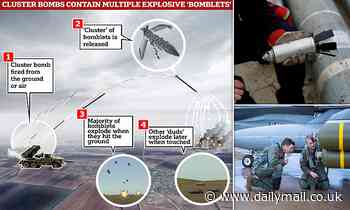 What are cluster bombs and how deadly are they?