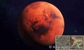 Life on Mars? NASA's Perseverance rover discovers diverse organic matter on the Red Planet