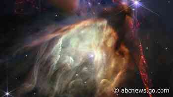 Webb Space Telescope reveals moment of stellar birth, dramatic close-up of 50 baby stars