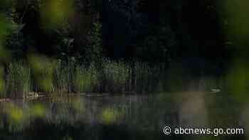 Humans' impact on the earth began a new epoch in the 1950s called the Anthropocene, scientists say