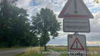 Eichenprozessionsspinner: Nester im Landkreis Wolfenbüttel