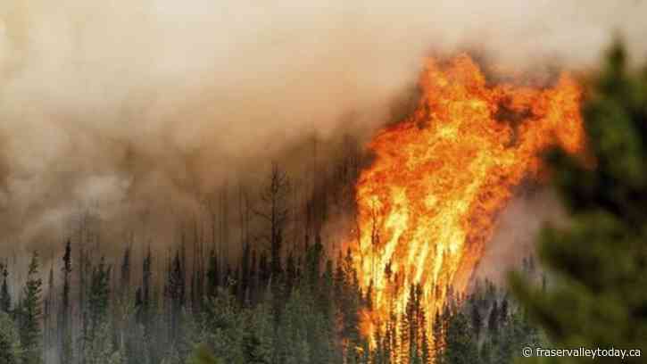 More evacuations, alerts, reflect difficult wildfire season in B.C., Yukon