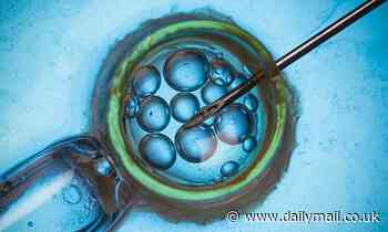 Get ready for AI BABIES: New tech is boosting success rate of IVF abroad