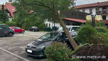 Orkanböen fällen Dutzende Bäume