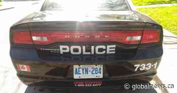 5 charged in Hamilton vehicle theft probe that saw police cruisers rammed