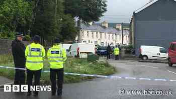 Bravery nomination for officers stabbed on duty